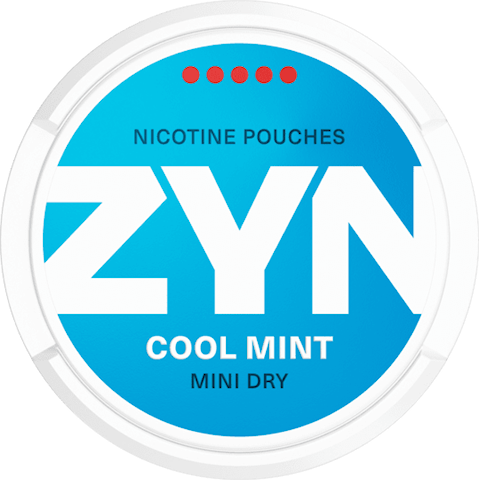 ZYN Cool Mint Mini Dry Super Strong